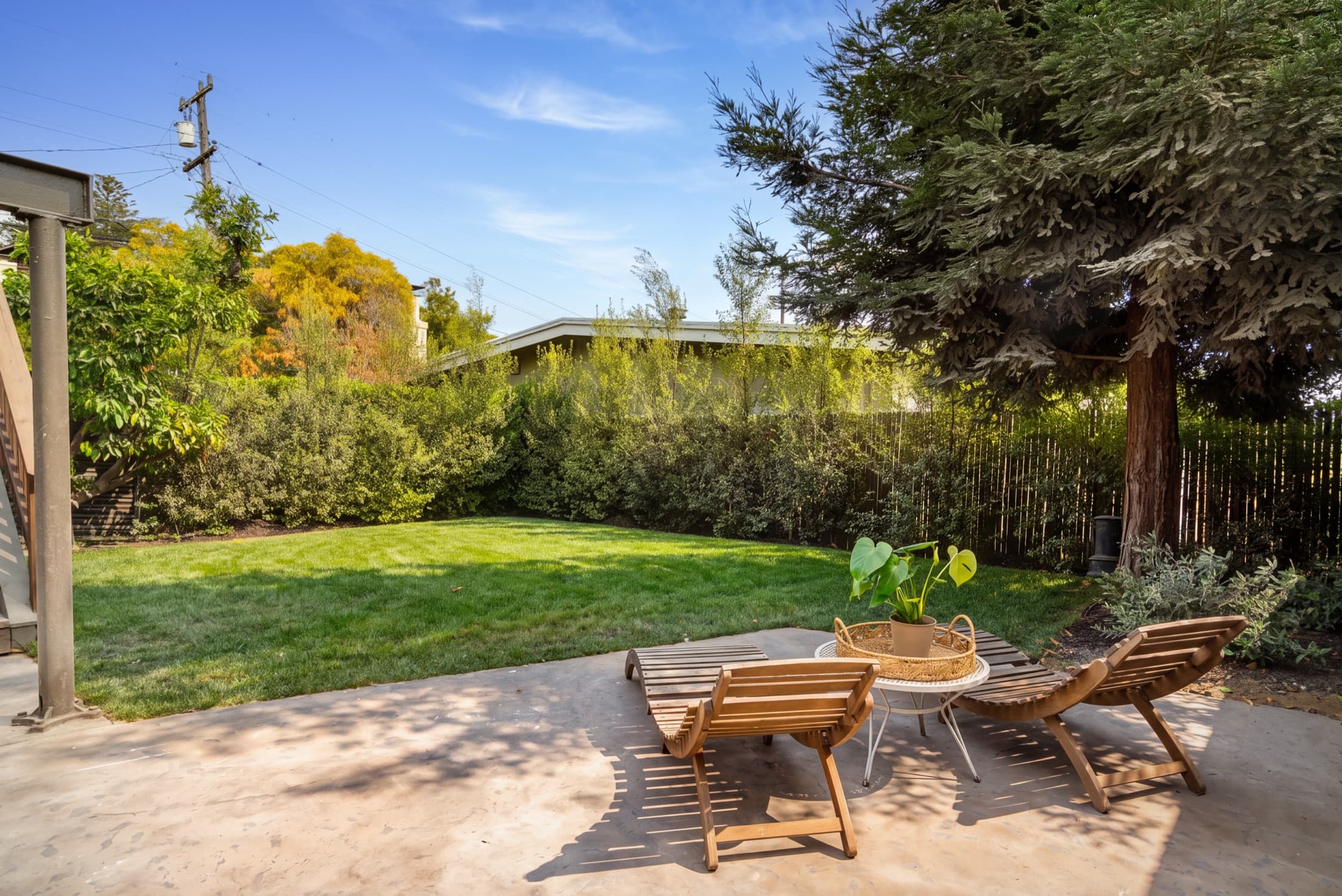 The patio and lawn.